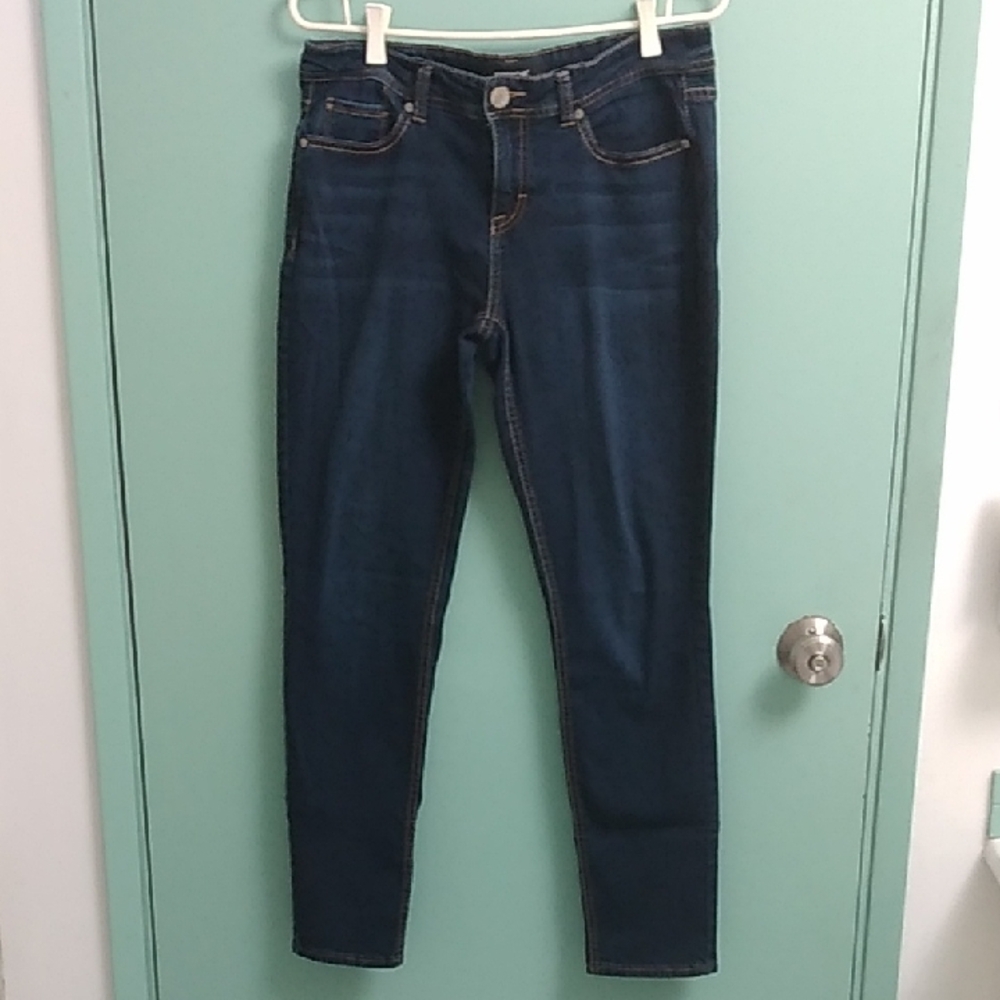Jordache Blue Skinny Jeans Classic Fit